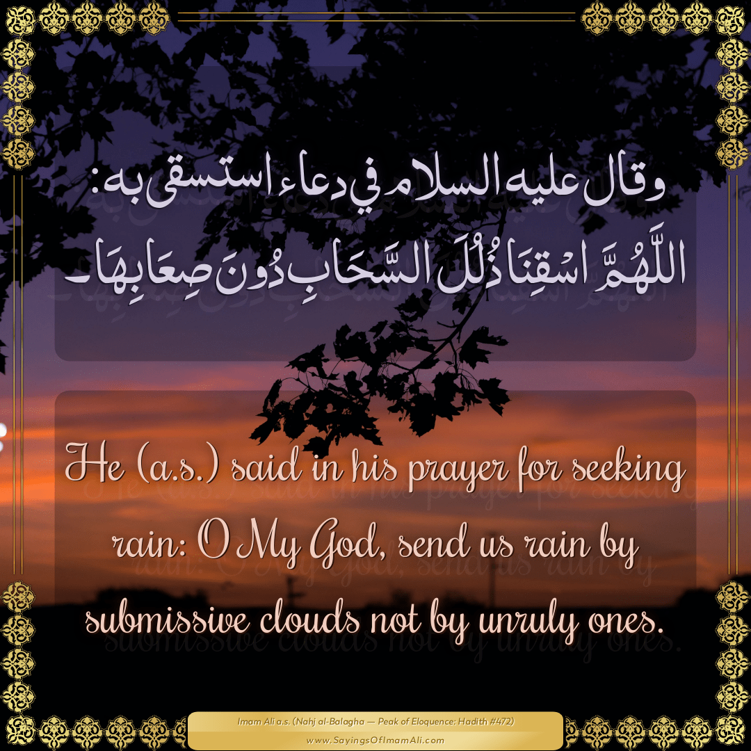 He (a.s.) said in his prayer for seeking rain: O My God, send us rain by...